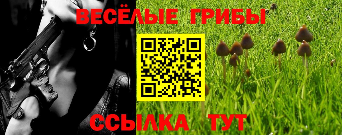 Псилоцибиновые грибы Psilocybine cubensis Туймазы