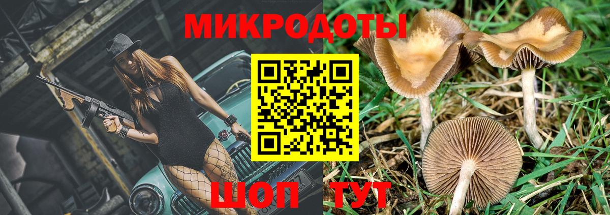 Псилоцибиновые грибы Cubensis  Вход с VPN  Туймазы 
